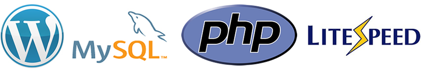 Hosting WordPress Hosting WordPress
